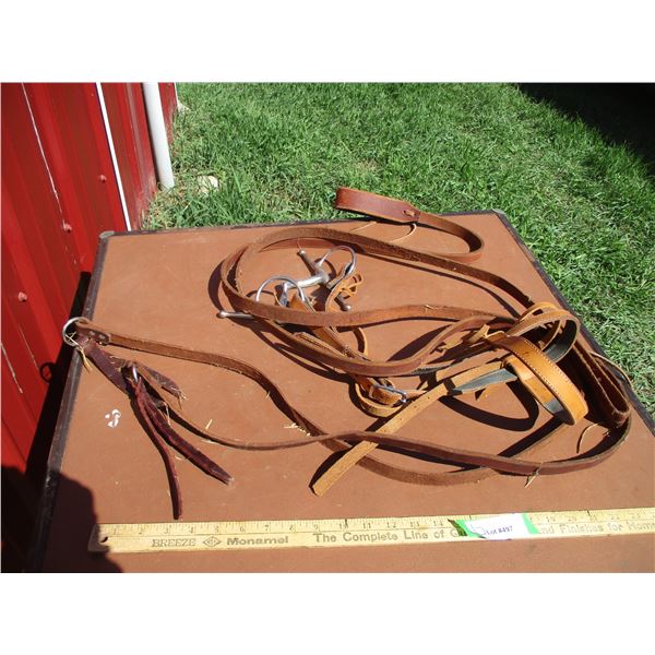 Head Stall, Bit, & Reins