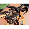 Image 5 : (2) Leather Head Stalls, (1) Braided Head Stall