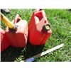 Image 3 : (3) Gas Cans