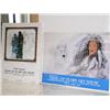Image 3 : Lot of 18 Trail of Tears Art Show Posters (45)