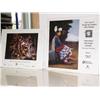 Image 4 : Lot of 18 Trail of Tears Art Show Posters (45)