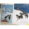 Image 3 : Lot of 15 Old Iditarod Posters (45)