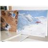 Image 4 : Lot of 15 Old Iditarod Posters (45)