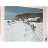 Image 4 : Lot of 28  1985-2005 Iditarod Prints (45)