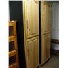 Image 1 : 2 large two-door storage cabinets  (16)