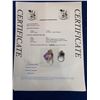 Image 6 : Natural Oval Cut Amethyst 18.35 Carat Solitaire .925 Silver Ring with Appraisal Certificate $650.00