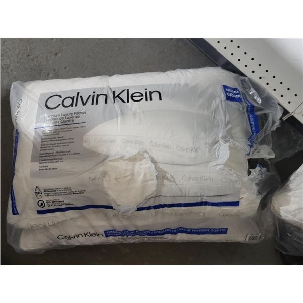 Calvin Klein Standard Queen Size Pillows - Set of 2