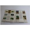 Image 2 : 1955 Wildlife Conservation Stamp Album - Complete with (36) Attached Stamps