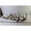 Image 1 : (4) Deer Sheds