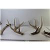 Image 2 : (4) Deer Sheds