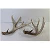 Image 3 : (4) Deer Sheds