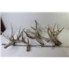 Image 1 : (6) Deer Sheds
