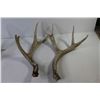 Image 2 : (6) Deer Sheds