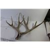 Image 3 : (6) Deer Sheds