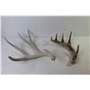 Image 4 : (6) Deer Sheds