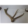 Image 2 : (5) Deer Sheds