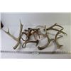 Image 1 : Craft - Antler Sheds