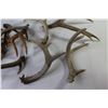 Image 2 : Craft - Antler Sheds