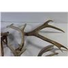 Image 3 : Craft - Antler Sheds