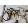 Image 4 : Craft - Antler Sheds