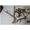 Image 5 : Craft - Antler Sheds