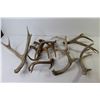Image 6 : Craft - Antler Sheds