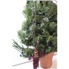 Image 2 : 42" x 32" Christmas Tree Wall Decor w/Lights (works)