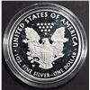 Image 2 : 2017 PROOF AMERICAN SILVER EAGLE OGP