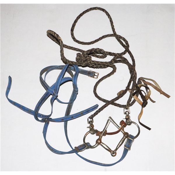 HORSE REINS WITH BIT