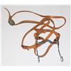 Image 1 : HORSE REINS WITH BIT