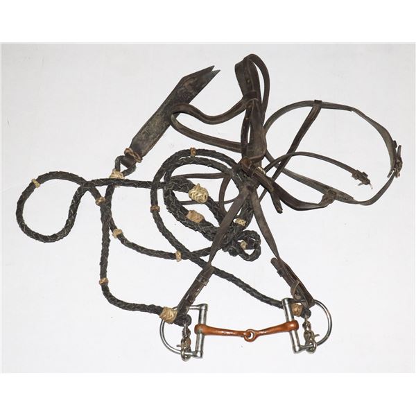 HORSE REINS WITH BIT