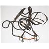 Image 1 : HORSE REINS WITH BIT