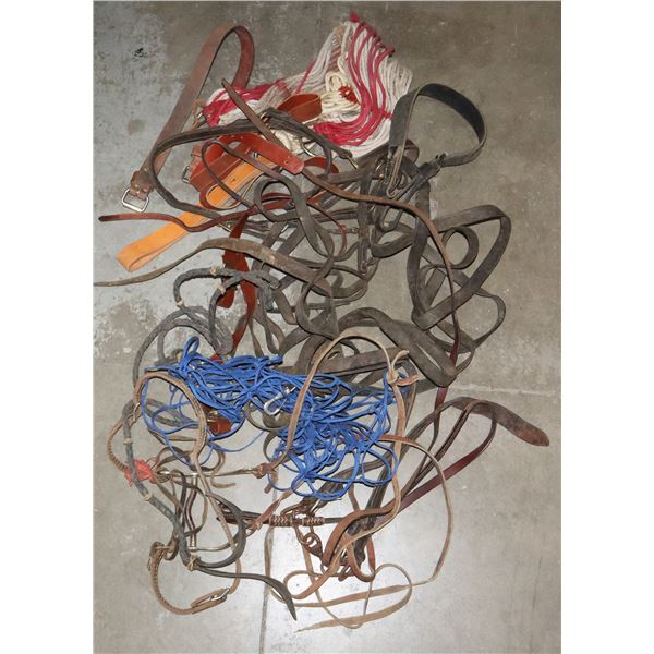 BOX OF ASSORTED HORSE TACK