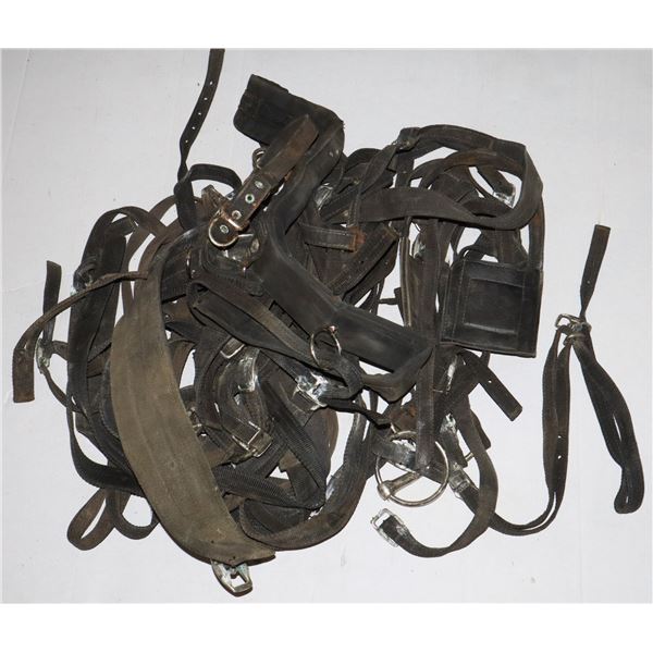 BOX OF ASSORTED HORSE TACK
