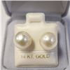 Image 1 : 14K YELLOW GOLD SOUTH SEA PEARL 9-9.5MM EARRINGS