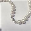 Image 3 : 14K WHITE GOLD FRESH WATER PEARL AND CZ 20"