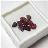 Image 2 : GARNET(6CT)