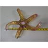 Image 8 : Global Views Art Glass Starfish Votive Candle Holder 13"dia, 4"H