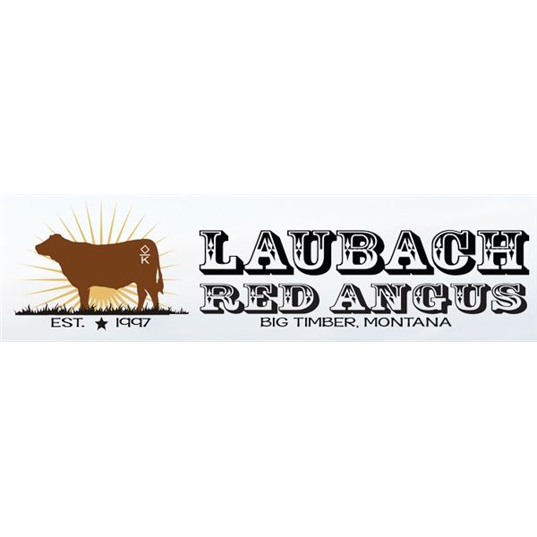 LAUBACH COLLEEN 2165