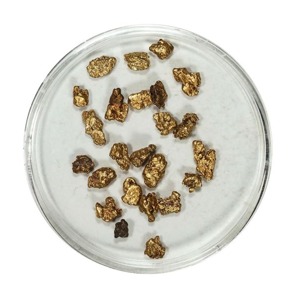 Gold Nuggets 3.73 Grams Total Weight