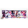 Image 1 : KRAFT DINNER LARGE HOCKEY CARDS 1993 SET OF 7