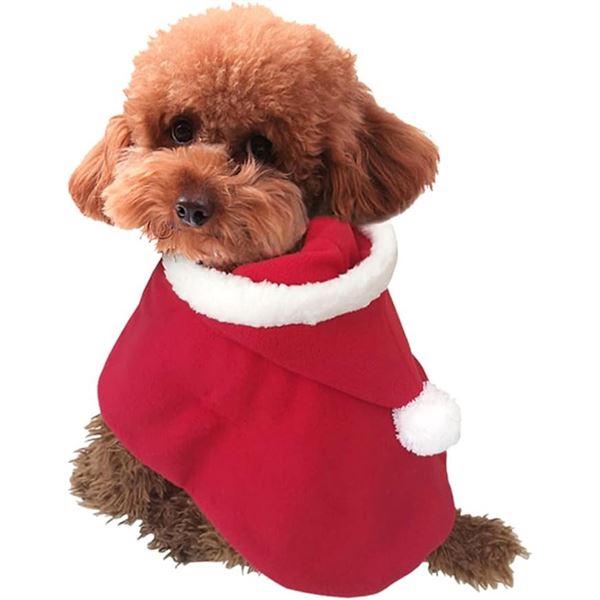 RED SANTA SMALL DOG OUTFIT