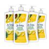 Image 1 : CASE W/4 600ML BOTTLES OF ST IVES HYDRATING BODY