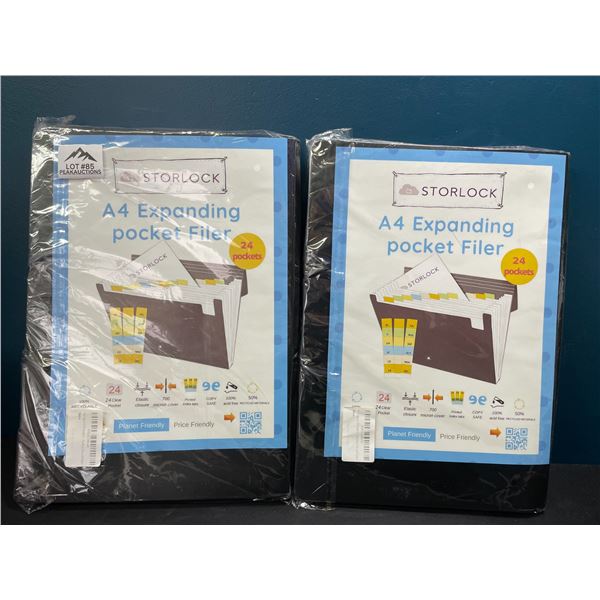 Lot of 2 A4 Expanding File Folders w/ 24 pockets