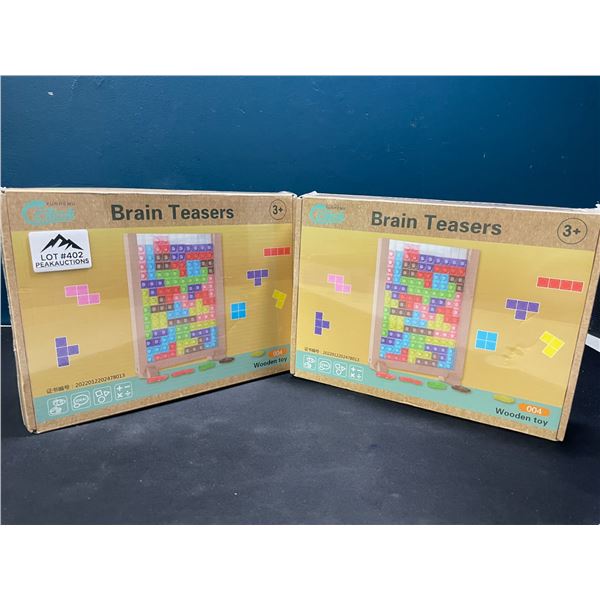 Lot of 2 Brain Teasers Wooden Toys