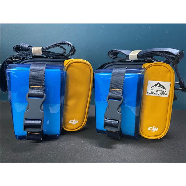 Lot of 2 DJI Drone/Camera Carrying Bags