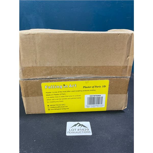 Lot of 1 Plaster of Paris 5lb box