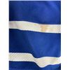 Image 2 : Lot of 1 Toronto Maple Leafs Autographed Jersey - Used