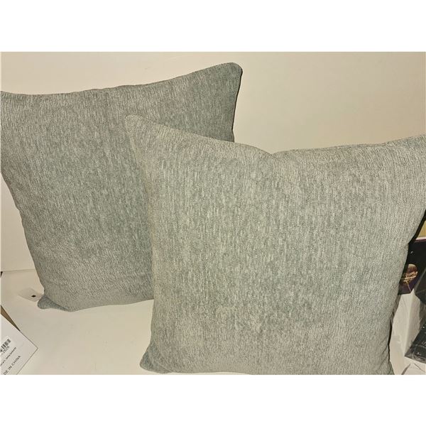 Decor Pillows