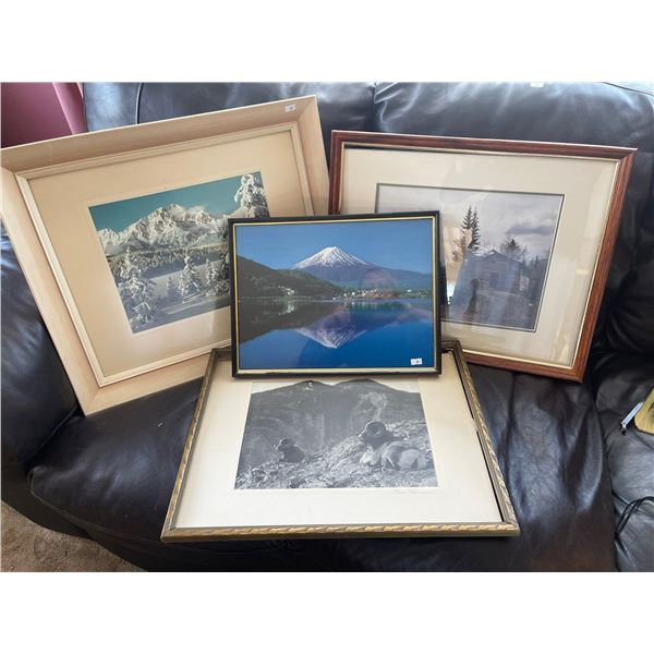 Mountain Art Collection